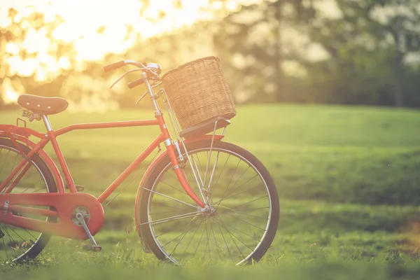 Czerwony Japonia styl klasyczny rower w parku — Zdjęcie stockowe