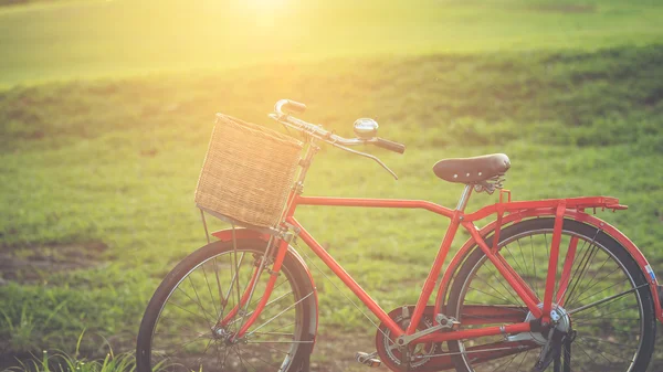 公園で赤日本スタイルのクラシック自転車 — ストック写真