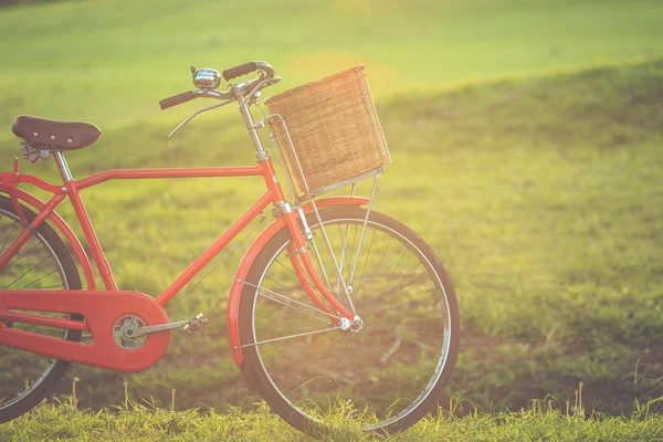 公園で赤日本スタイルのクラシック自転車 — ストック写真