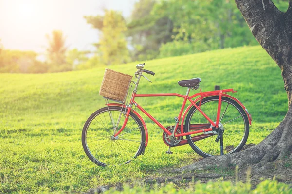 Red-Japan stijl klassieke fiets in het park — Stockfoto