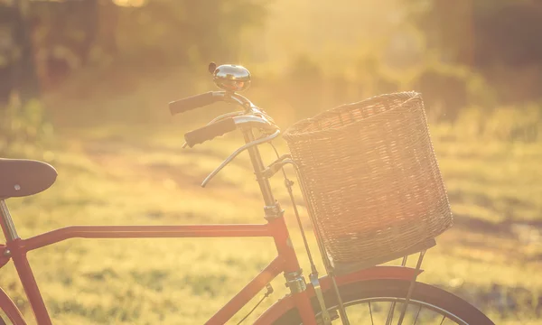 公園で赤日本スタイルのクラシック自転車 — ストック写真