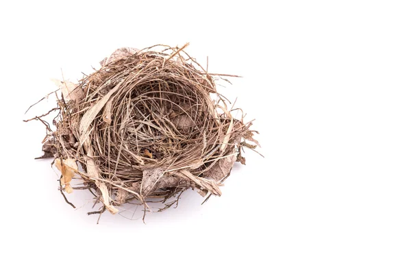 Close-up van oude lege vogel nest geïsoleerd op wit — Stockfoto