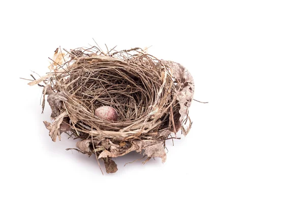 Acercamiento viejo nido de aves con un huevo aislado en blanco — Foto de Stock