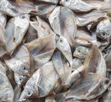 Balık iskeleti filleting sonra yığını