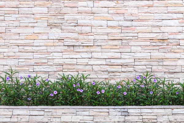 自然石の壁と花植物のパターン。庭の真空蒸着 — ストック写真