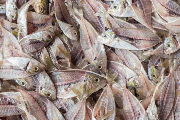 Stack of fish skeleton after filleting — Stock Photo, Image