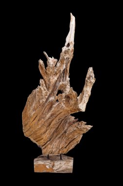 Soyut dekorasyon üzerine beyaz izole olarak kullanılan kök ağacının 