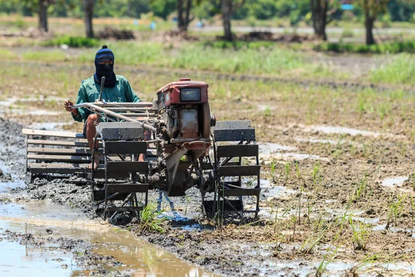 Granjero tailandés en tractor pequeño en granja de arroz —  Fotos de Stock