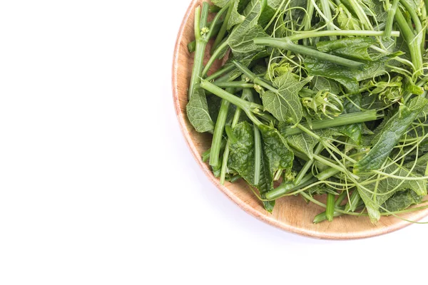 Hoja de chayote verde fresco aislada sobre fondo blanco — Foto de Stock