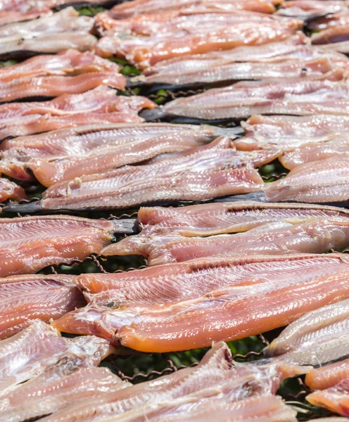 Fish dried under the sun, Striped snakehead fish dried prepare f — Stock Photo, Image