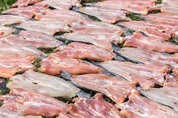 Fish dried under the sun, Striped snakehead fish dried prepare f — Stock Photo, Image