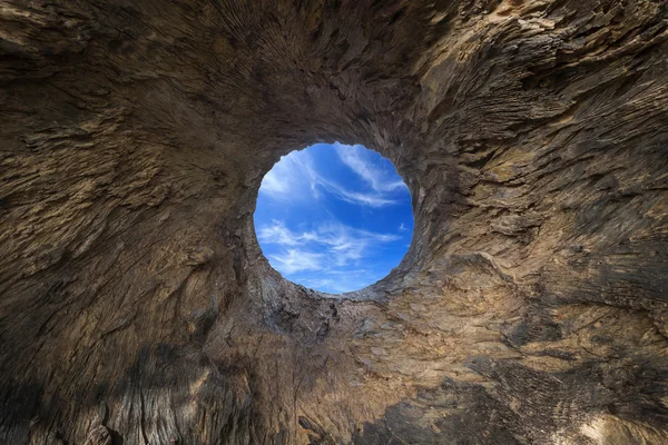 Hole of wood log with white isolated on middle for design. Saved