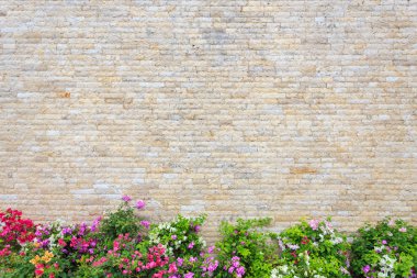 Peyzaj Bahçe Dekorasyon