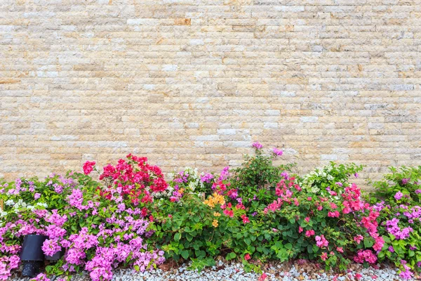 庭の装飾の風景 — ストック写真