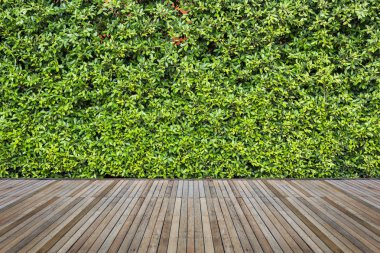 Woodecking veya döşeme ve dekoratif Bahçe tesisi 