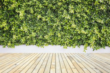 Ahşap zemin kaplaması veya döşeme ve dekoratif Bahçe tesisi