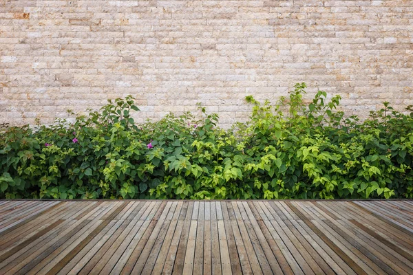 Woodecking またはフロアー リングおよび装飾的な庭の植物 — ストック写真