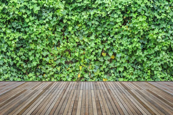 Tarima de madera o suelo y planta en jardín decorativo — Foto de Stock