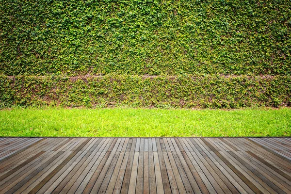 Tarima de madera o suelo y planta en jardín decorativo — Foto de Stock