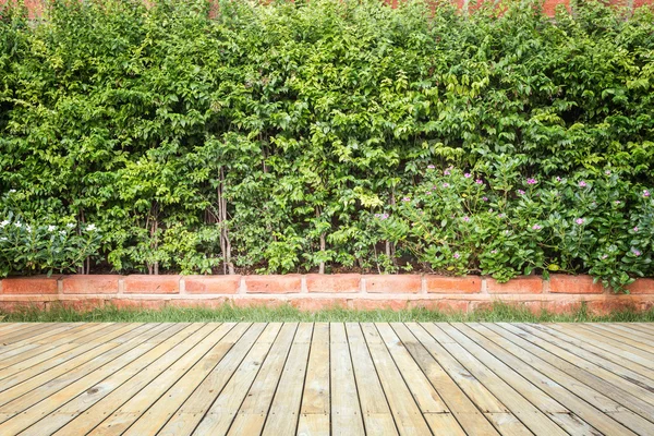 Decking o suelo de madera y planta en jardín decorativo — Foto de Stock