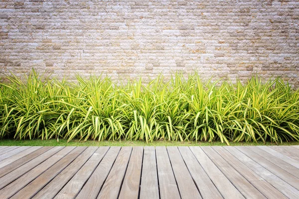 Decks ou pisos de madeira e plantas em jardim decorativo — Fotografia de Stock