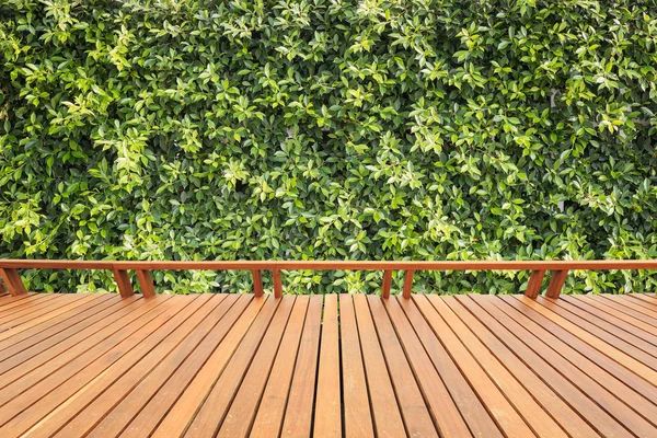 Planchers ou terrasses en bois et plantes décoratives de jardin — Photo