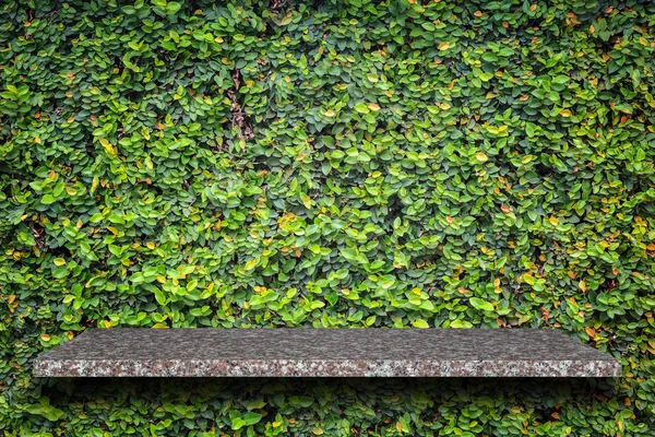 Lege boven aan natuurlijke stenen planken en groene patroon muur backgr — Stockfoto