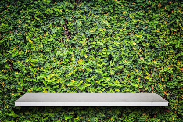Parte superior vacía de estantes de piedra natural y fondo de pared patrón verde — Foto de Stock