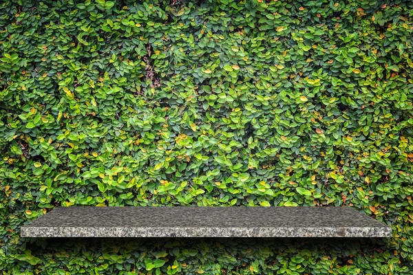 Lege boven aan natuurlijke stenen planken en groene patroon muur backgr — Stockfoto