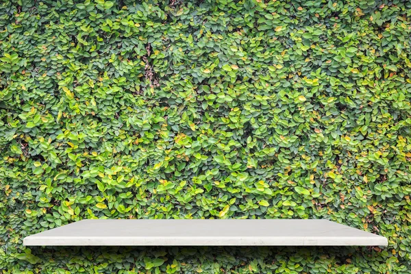 Parte superior vacía de estantes de piedra natural y fondo de pared patrón verde — Foto de Stock