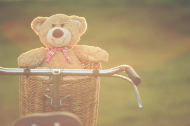 Rattan sepet gree vintage bisiklet üzerinde güzel kahverengi ayıcık