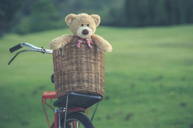 Rattan sepet gree vintage bisiklet üzerinde güzel kahverengi ayıcık