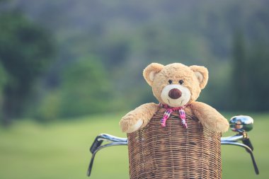 Rattan sepet gree vintage bisiklet üzerinde güzel kahverengi ayıcık