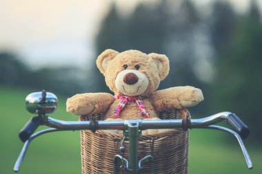 Rattan sepet gree vintage bisiklet üzerinde güzel kahverengi ayıcık