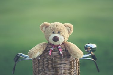 Rattan sepet gree vintage bisiklet üzerinde güzel kahverengi ayıcık