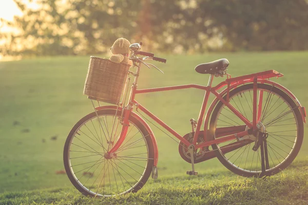 Schöner brauner Teddybär im Rattankorb auf Oldtimer-Fahrrad in grau — Stockfoto