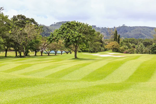 Golfbana med träd — Stockfoto