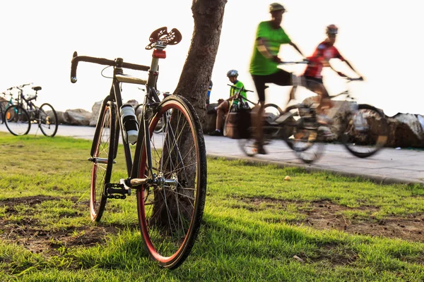 Bicycle in the park — Stock Photo, Image