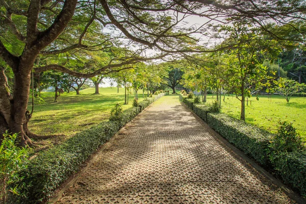 Steinweg im Park — Stockfoto