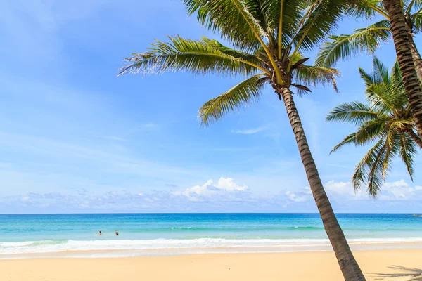 Tropischer strand in phuket, thailand — Stockfoto