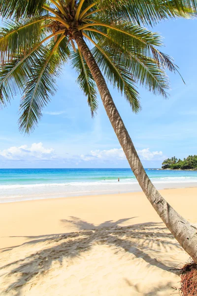 Tropisk strand på Phuket, Thailand – stockfoto
