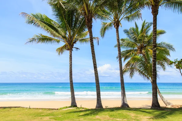 Tropická pláž v phuket, Thajsko — Stock fotografie