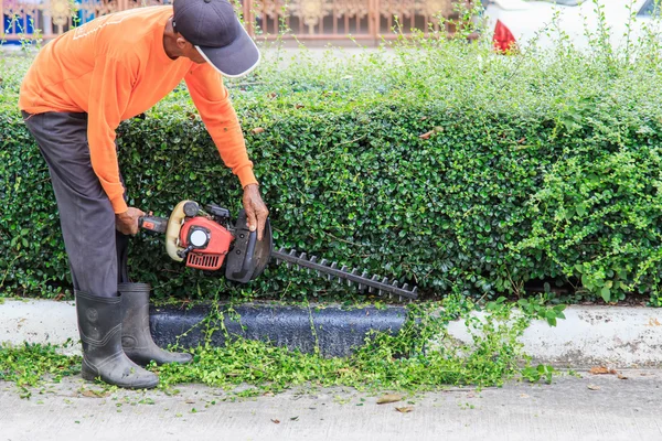 Un uomo che taglia siepi per strada — Foto Stock