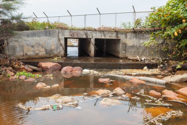 Büyük göçü pipi ve atıksu, kirliliği