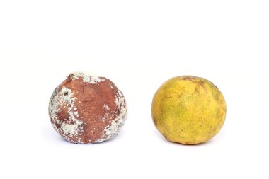 Küflü turuncu beyaz arka plan üzerinde izole