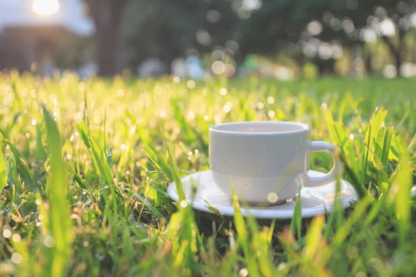 Koffiekopje in de tuin de ochtend tijd — Stockfoto
