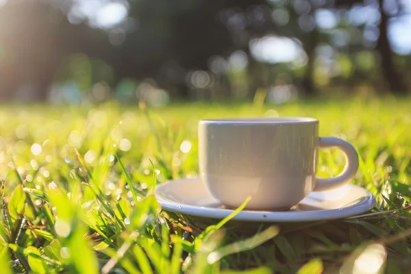 Taza de café en el jardín la mañana —  Fotos de Stock