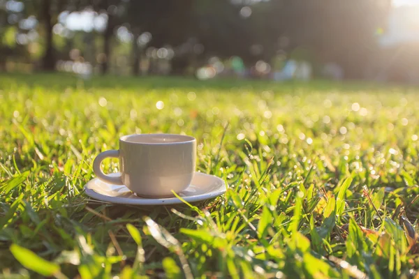 Taza de café en el jardín la mañana — Foto de Stock