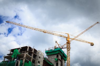 İnşaat alanında turna