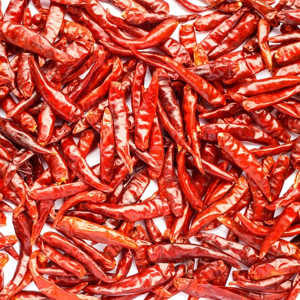 Lot of dried chili as a food background